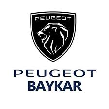 Peugeot Baykar